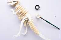 3D Puzzle T-Rex Dinosaurier / ab 4 Jahre
