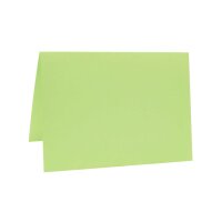 Paper Poetry Luxury Karte B6 Hellgrün 220 g/m²...